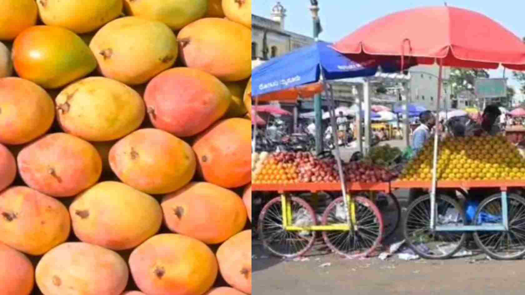 mango affordable prices