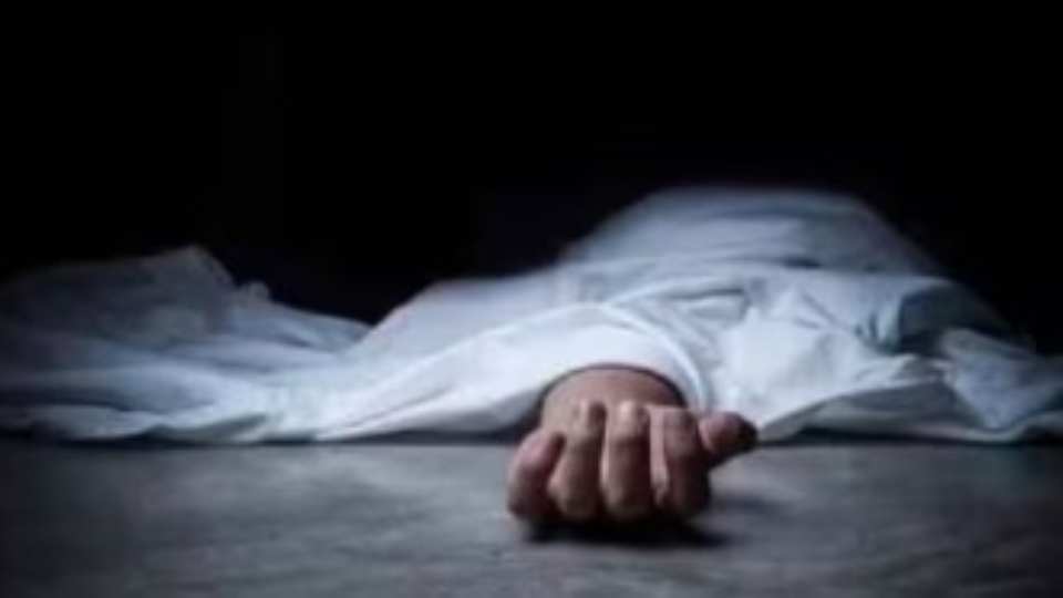 Bharachukki waterfall