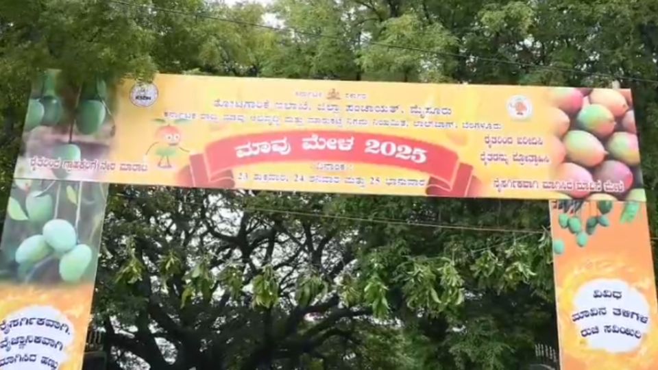 Mango Festival