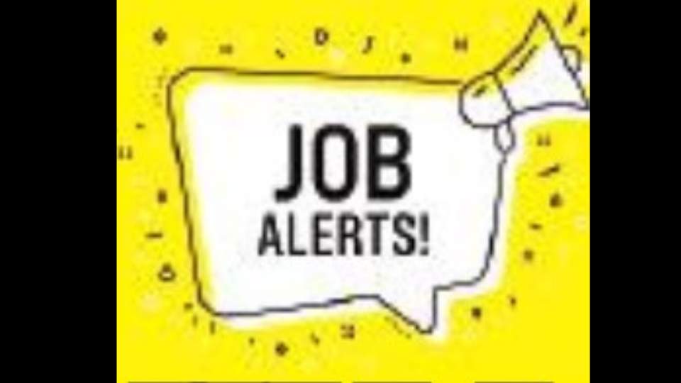 job alert