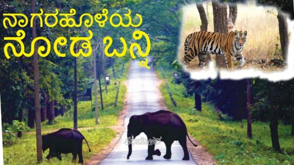 Come visit Nagarahole