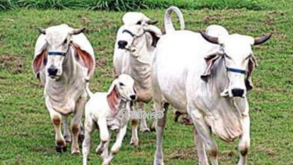 Engineering Graduate Extends a Helping Hand to the Farmer – The Real Annadata