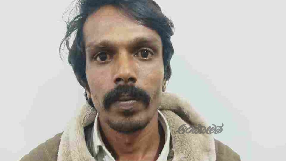 Somwarpet | Attempt to Sell Ganja: Accused Arrested