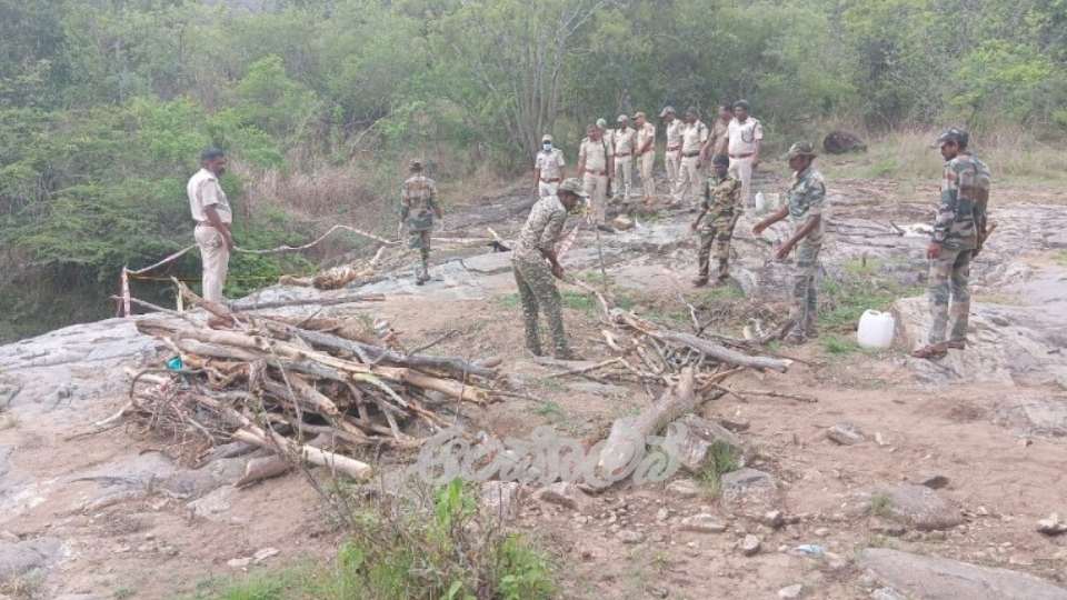 Tigers cremated at the spot where they died