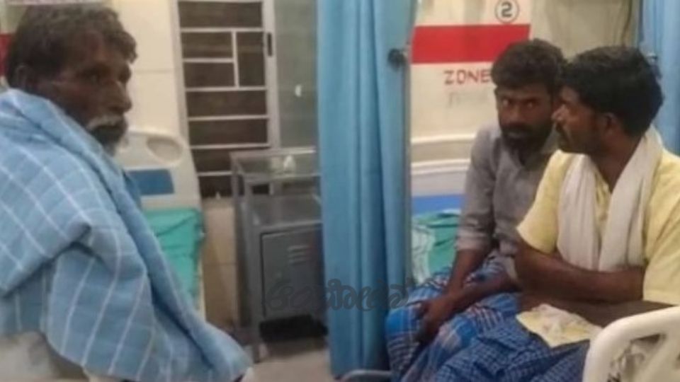 tigers killed by poisoning