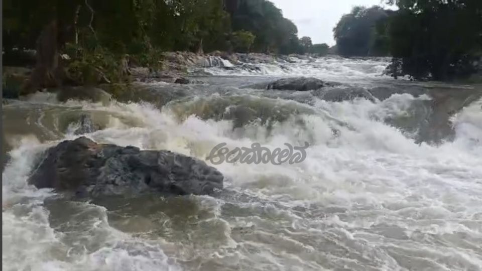 Hogenakkal Waterfalls Tourists flock to see the waterfalls