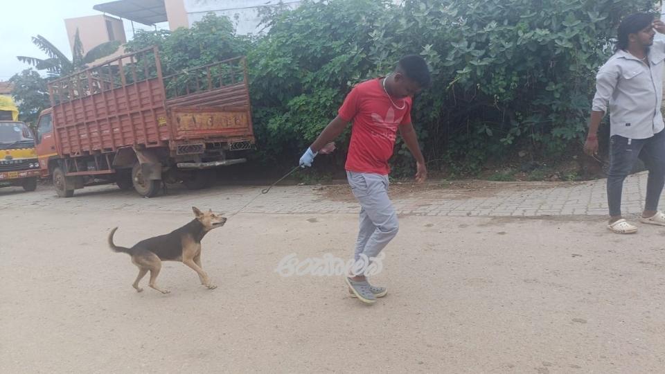 Hullahalli Gram Panchayat Steps In to Control the Stray Dog Menace