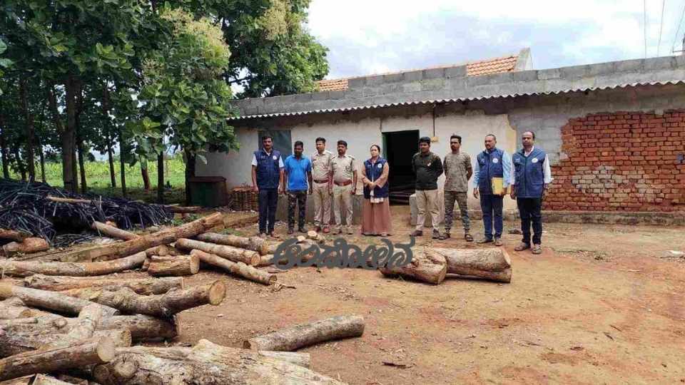 Teak wood collected without permission: Seizure by the Forest Department
