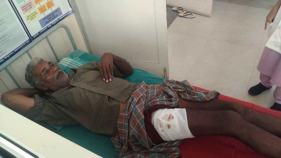 bear attacked a man who had gone out