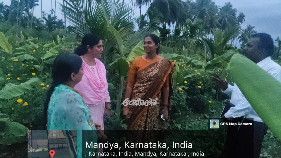 Encourage horticultural crops: G.P. CEO advises officials