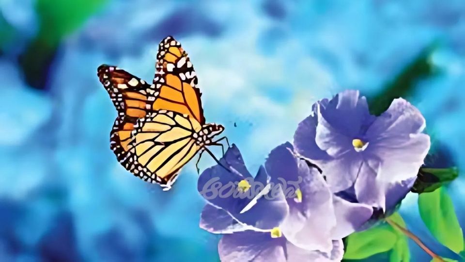 sowmya koti article Change is the law of the world