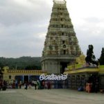 male mahadeshwara betta