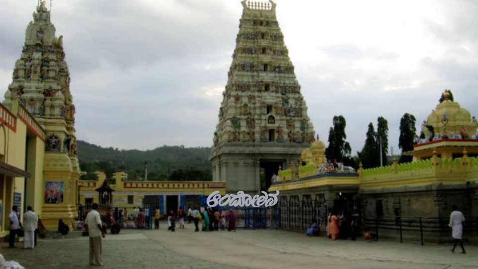 male mahadeshwara betta
